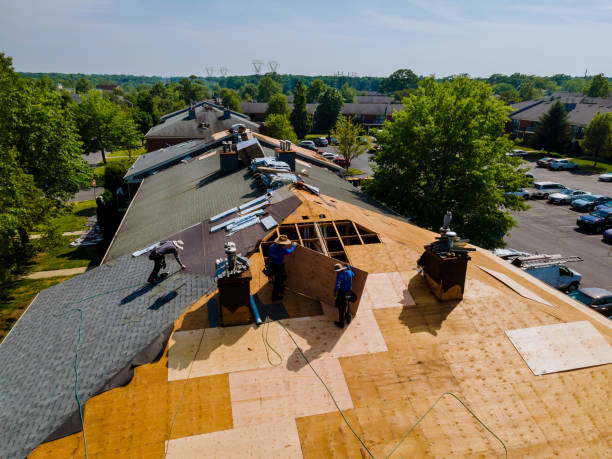 Quick and Trustworthy Emergency Roof Repair Services in Landrum, SC